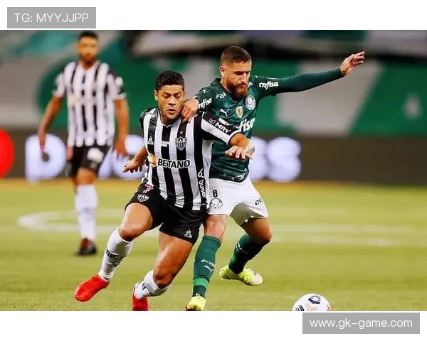 解放者杯激战正酣,多支劲旅上演精彩对决 解放者杯激战正酣,多支劲旅上演精彩对决